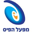 Pais.co.il logo