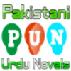 Pakurdunovels.com logo