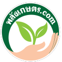 Palangkaset.com logo
