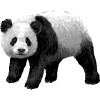 Pandachirari.com logo