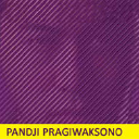 Pandji.com logo