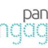 Panelengage.com logo