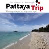 Pattayatrip.ru logo