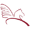 Pegasas.lt logo