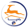 Peikebadpa.ir logo