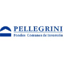 Pellegrinifci.com.ar logo