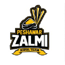 Peshawarzalmi.com logo