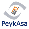 Peykasa.ir logo
