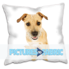 Picturestofabric.co.uk logo