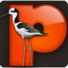 Pikuru.com logo