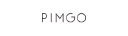 Pimgo.com.tw logo