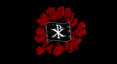 Piratechristian.com logo