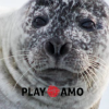 Playamo.com logo