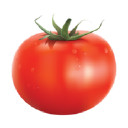 Pomidom.ru logo