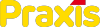 Praxis.nl logo
