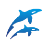 Primocean.ru logo