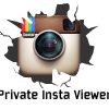 Privateinstaviewer.com logo