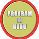 Programinurdu.com logo