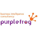 Purplefrogsystems.com logo