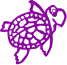 Purpleturtle.co.uk logo