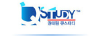 Qstudy.kr logo