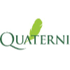 Quaterni.es logo