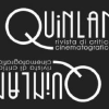 Quinlan.it logo