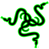 Razerzone.ru logo