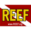 Reef.org logo