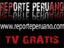 Reporteperuano.com logo