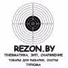 Rezon.by logo