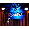 Roisindubh.net logo