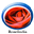Roseindia.net logo