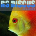 Rsdiscus.com.br logo