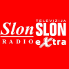 Rtvslon.ba logo