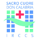 Sacrocuore.it logo
