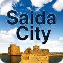 Saidacity.net logo