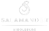 Salamanderresort.com logo