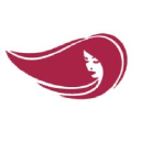 Salaovirtual.org logo