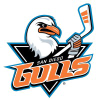 Sandiegogulls.com logo