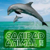 Sanidadanimal.info logo