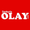 Sanliurfaolay.com logo