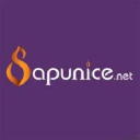 Sapunice.net logo
