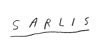 Sarlisart.com logo