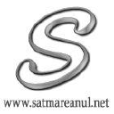 Satmareanul.net logo