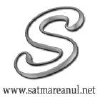 Satmareanul.net logo