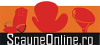 Scauneonline.ro logo