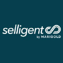 Selligent.com logo