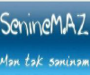 Seninem.az logo