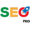 Seocrawler.co logo